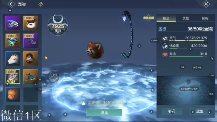 【2021-01-30 20点场】肥羊QAQ：妄想公测微氪月卡党.