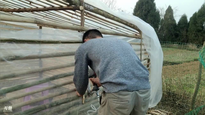 点赞