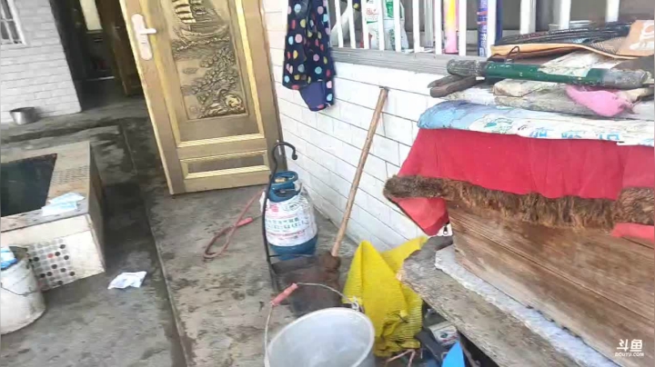 【2021-02-01 13点场】魅力生活i：天气好户外烧烤