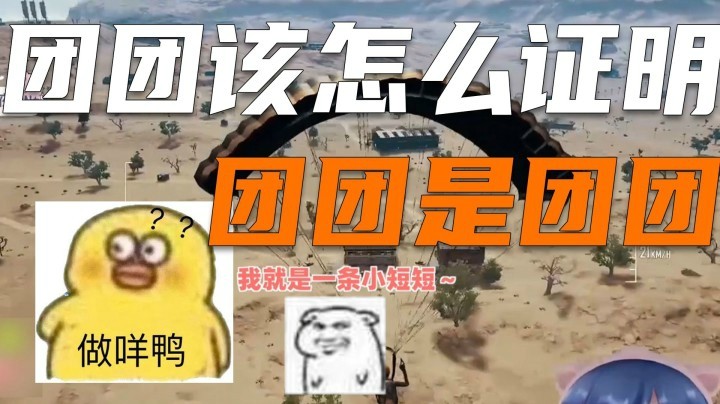 【一条小团团】团团该怎么证明团团是团团~