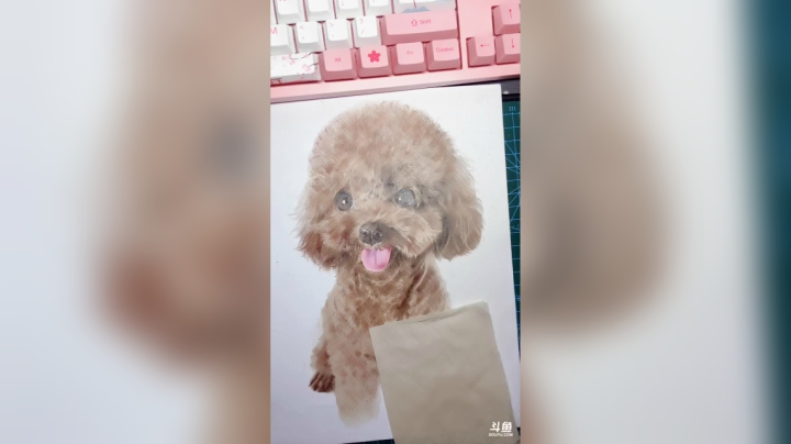 【2021-01-31 01点场】一只瓜皮五：画画-银河还很空荡 所有人都可以成为星星