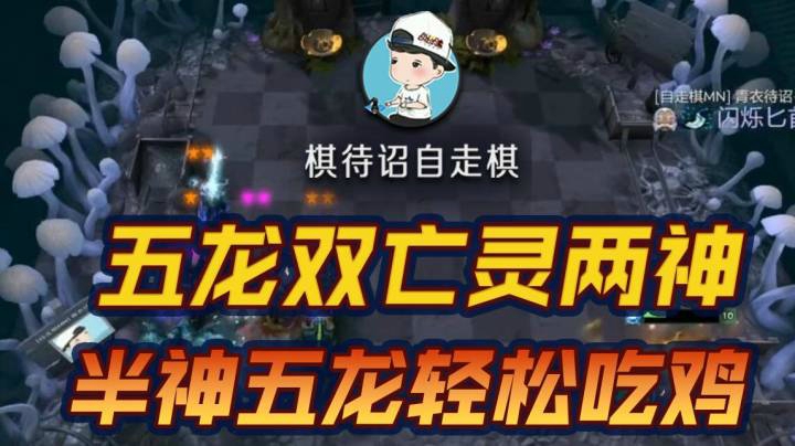 五龙半神双亡灵，这也太简单了8？