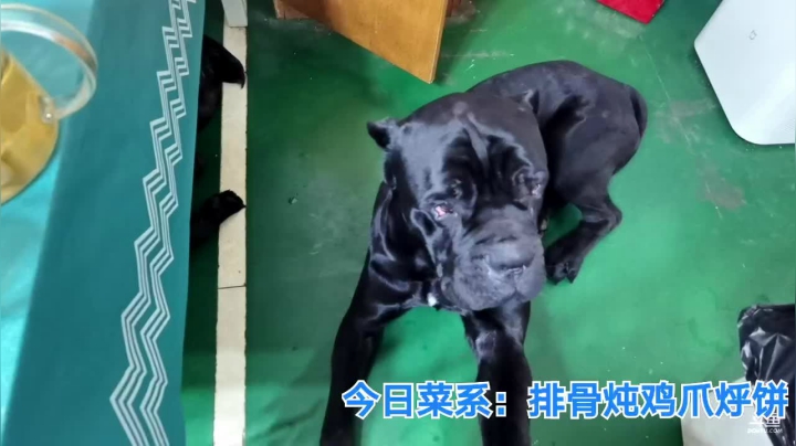 我在斗鱼看无尽无尽的无尽直播美食