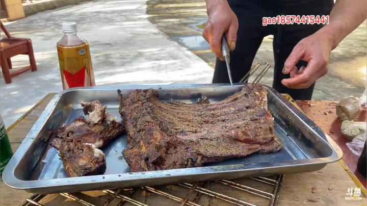 【2021-02-01 16点场】魅力生活i：天气好户外烧烤