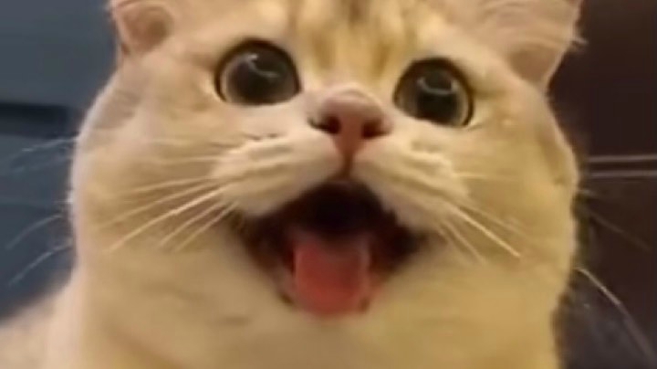 随便玩玩
