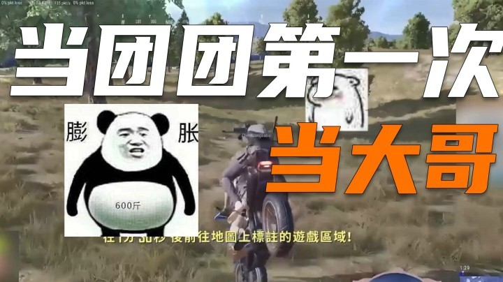【一条小团团】第一次当大哥有点紧张~