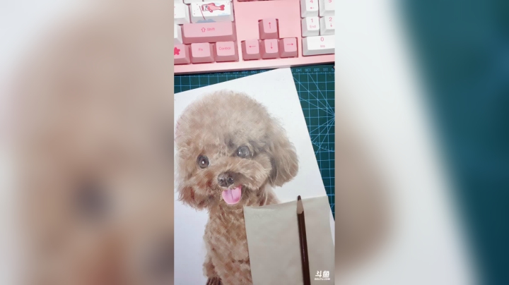 【2021-02-01 02点场】一只瓜皮五：画画-银河还很空荡 所有人都可以成为星星