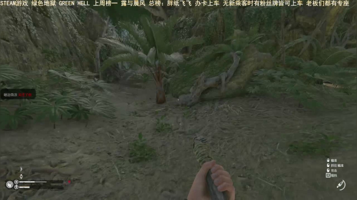 【2021-02-01 23点场】三时小周每娘娘：走，我们去亚马逊森林
