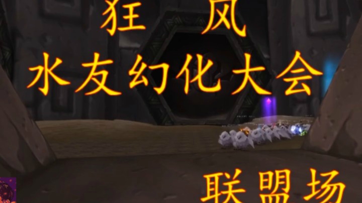 夜店猫！历届幻化大会集锦.mkv