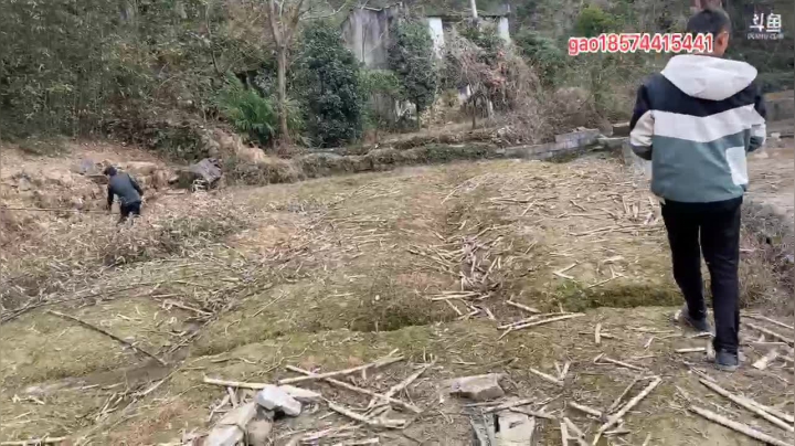 【2021-02-02 13点场】魅力生活i：开心打野快乐美食