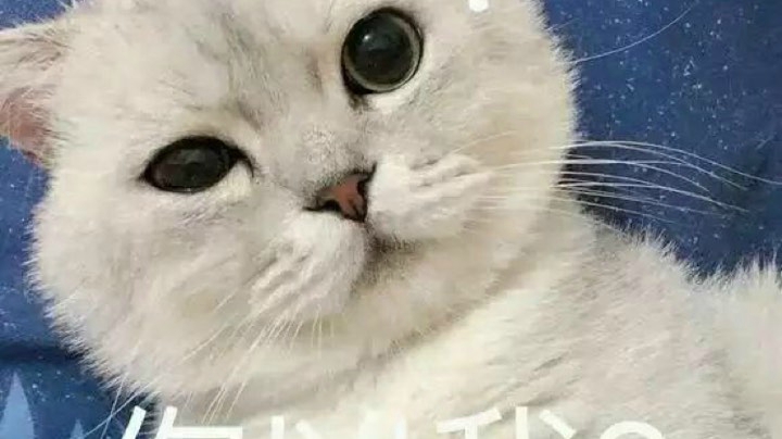 上大分