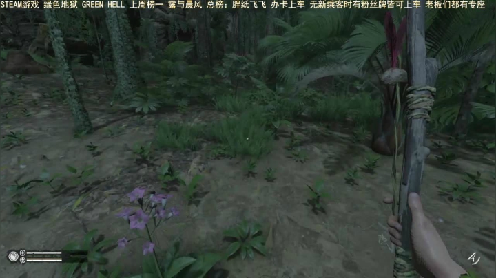 【2021-02-02 20点场】三时小周每娘娘：来呀，来亚马逊森林探险了