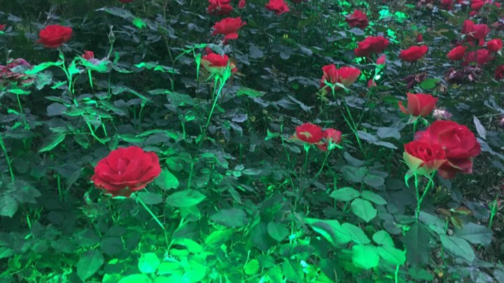 请拿稳你的手机再看全程无尿点3