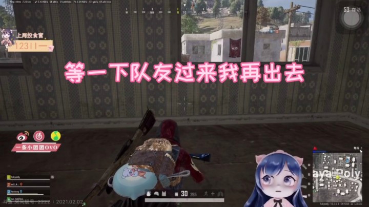 机智聪明如团团