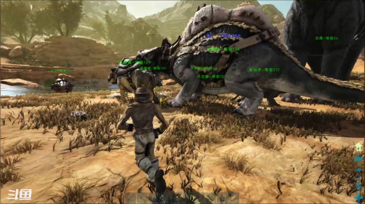 【2021-02-02 23点场】老丶百事：百事 新人 初体验