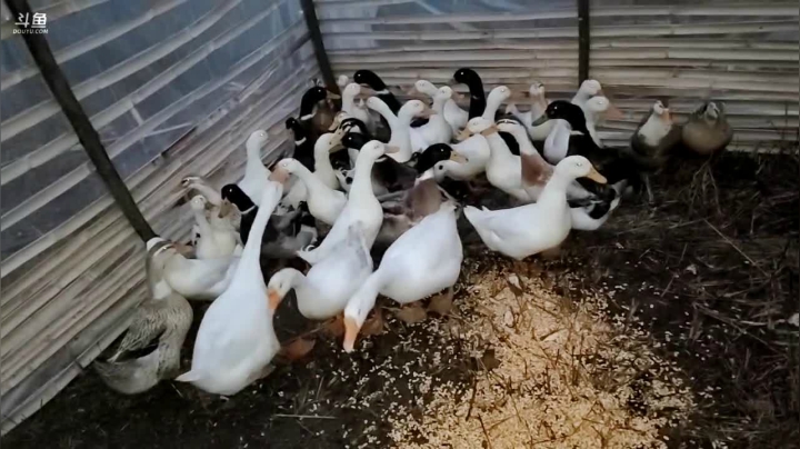 点赞