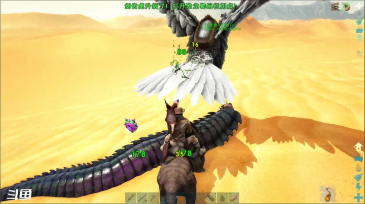 【2021-02-02 19点场】老丶百事：百事 新人 初体验