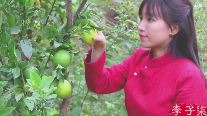 【美食】李子柒liziqi的精彩时刻 20210203 09点场