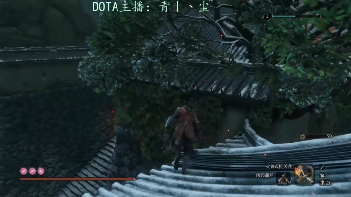 【2021-02-02 18点场】青丨丶尘：有人就dota，无人就只狼