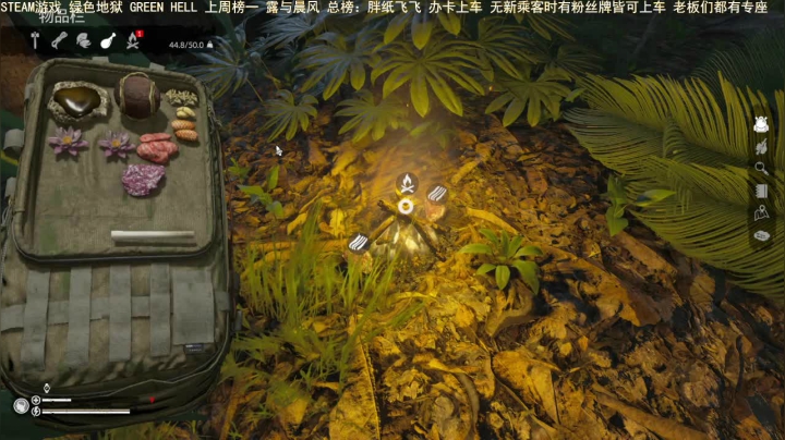 【2021-02-02 18点场】三时小周每娘娘：来呀，来亚马逊森林探险了