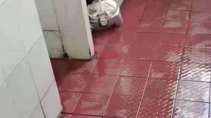 嘿嘿