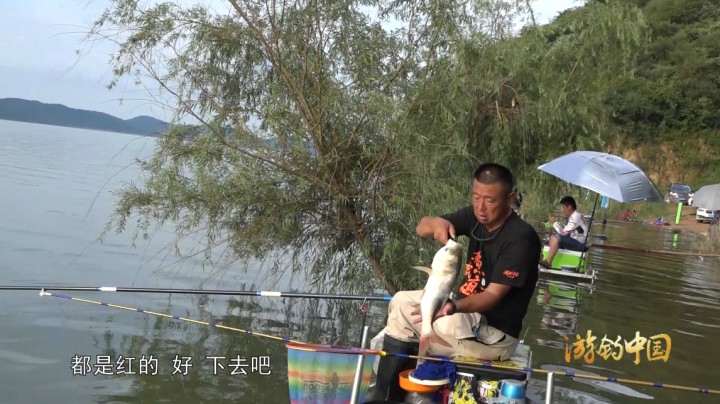 《游钓中国3》第18集 一波不尽兴再接再厉 滑漂不过瘾手竿入水战青