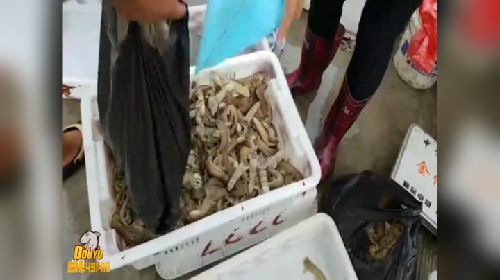 【户外】威海大叔的精彩时刻 20210204 13点场