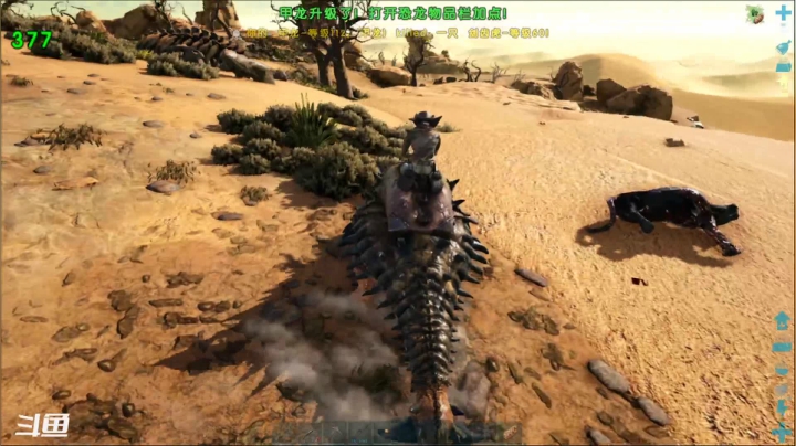 【2021-02-03 18点场】老丶百事：百事 新人 初体验