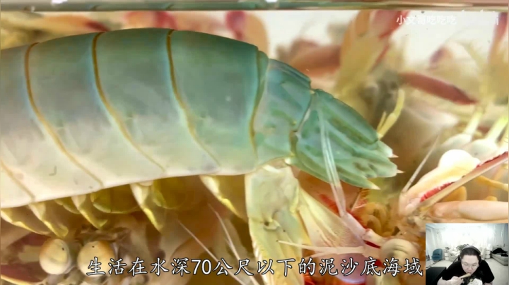 【英雄联盟】即将拥有人鱼线的PDD的精彩时刻 20210204 07点场