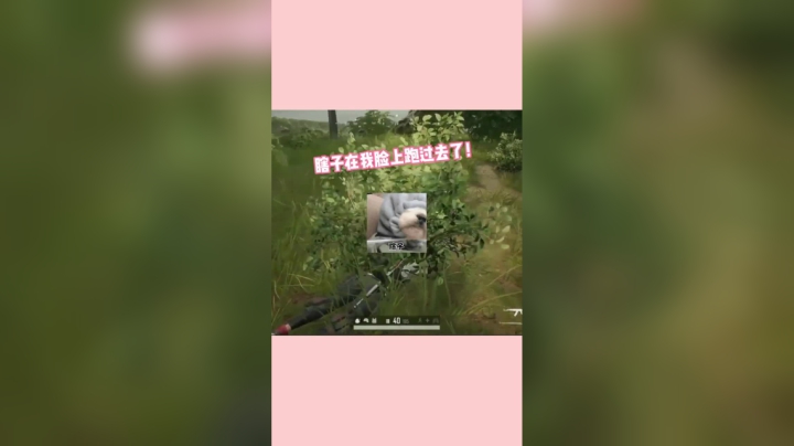 宋温柔真的菜吗？