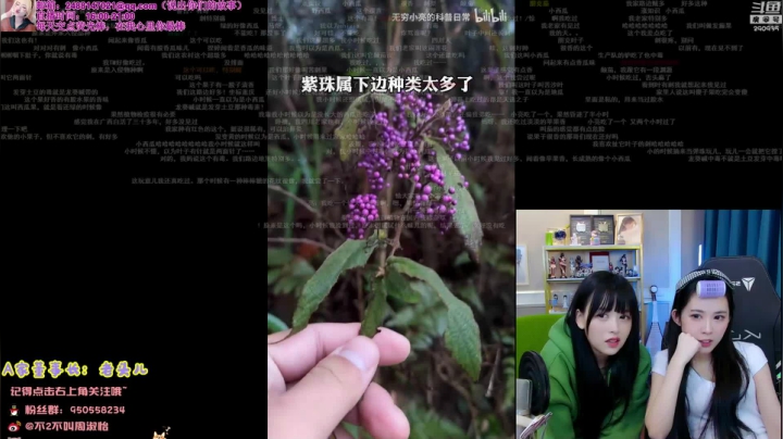 【英雄联盟】不2不叫周淑怡的精彩时刻 20210205 21点场