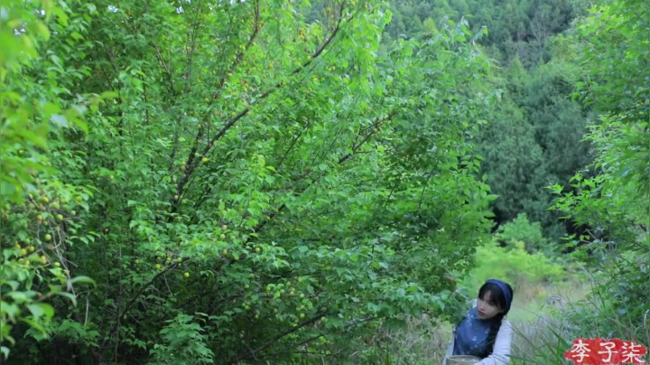 【美食】李子柒liziqi的精彩时刻 20210205 20点场