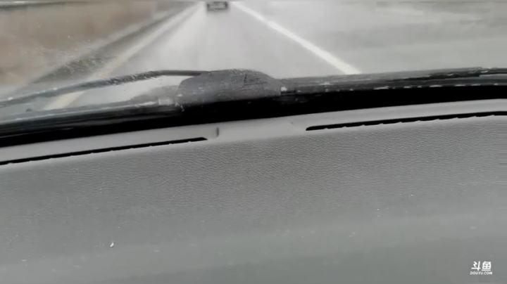 买鸡买鸭买鱼过小年