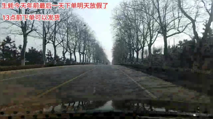 【户外】威海大叔的精彩时刻 20210206 11点场
