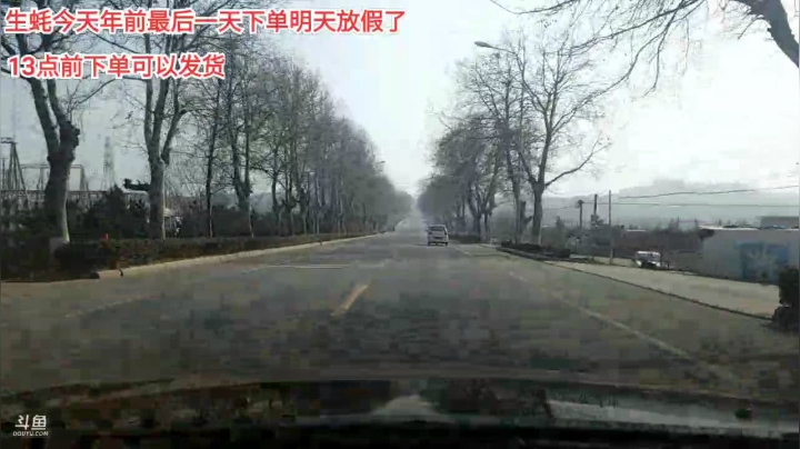 【户外】威海大叔的精彩时刻 20210206 11点场