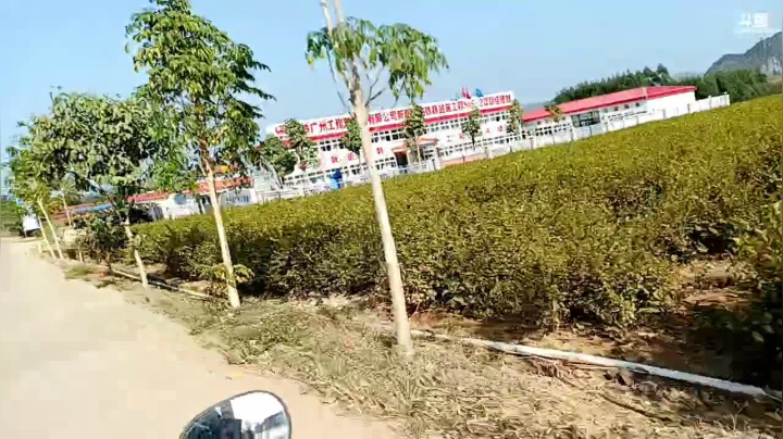 【2021-02-05 14点场】灵魂厉害1279：去看望阿公
