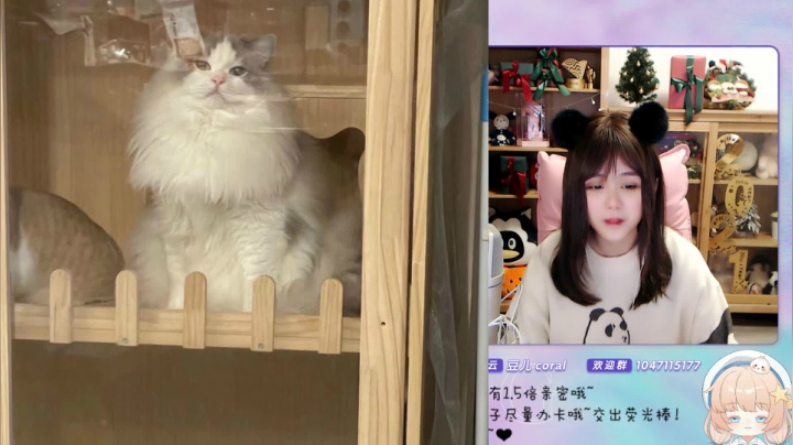 【二次元】纳豆nado的精彩时刻 20210207 00点场