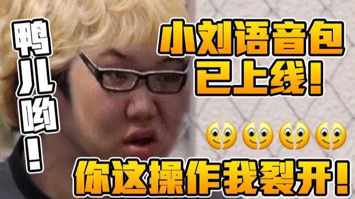 【PDD】小刘语音包已上线！鸭儿哟！你这操作我裂开！