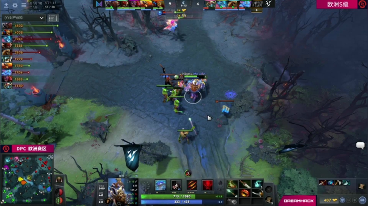 DPC 欧洲区 Nigma vs ViKin.GG BO3 第一场 2.6