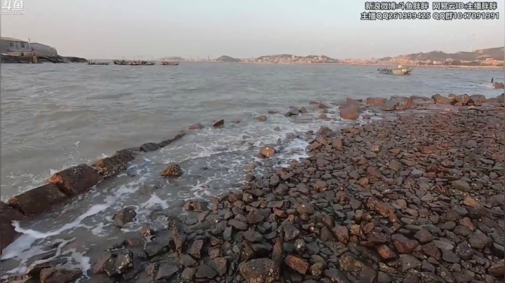【2021-02-08 02点场】胖胖灬：胖胖OB：小肥仔的预测还是可以！