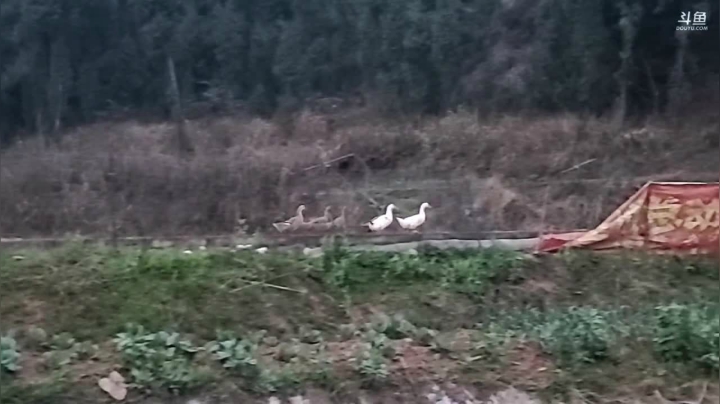 点赞