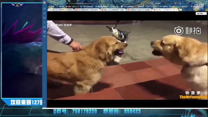 【2021-02-08 16点场】这是一头127：127：王者仔小号乱杀教学