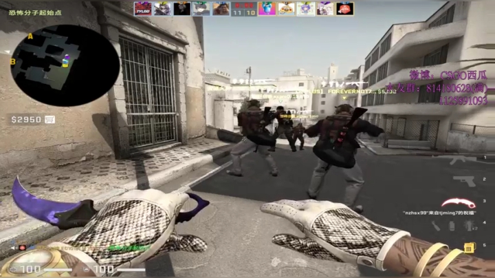 【2021-02-05 17点场】CSGO西瓜：西瓜：20岁的PL丶
