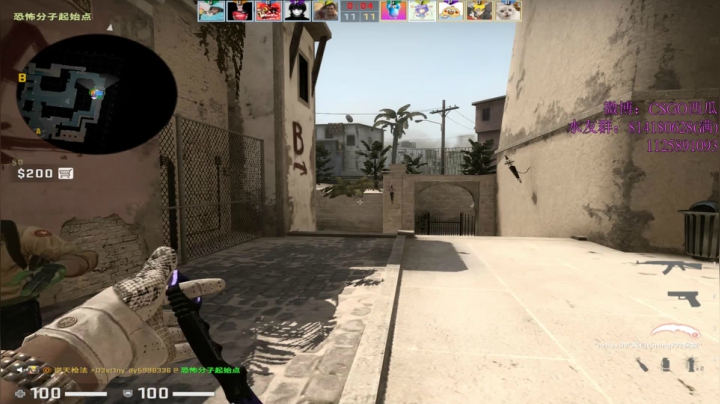 【2021-02-08 14点场】CSGO西瓜：西瓜：20岁的PL丶
