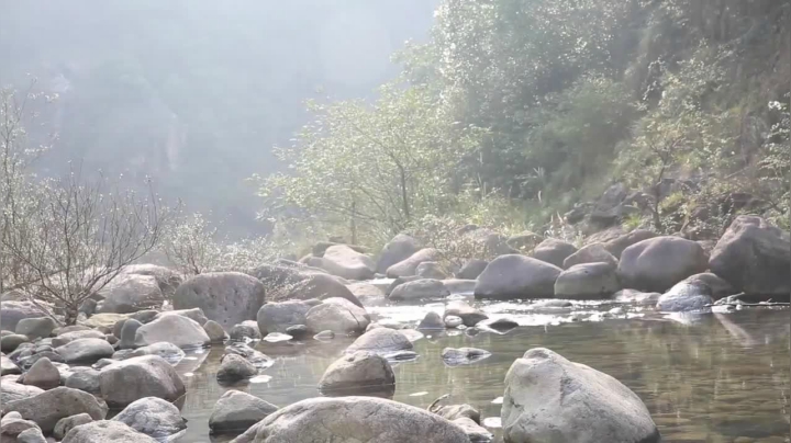 我在斗鱼看YESHI小哥直播美食