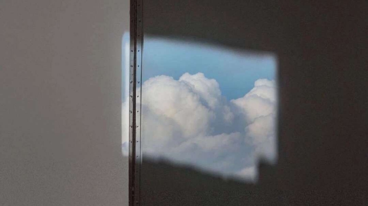 试图追赶过你 但山鸟与鱼不同路.