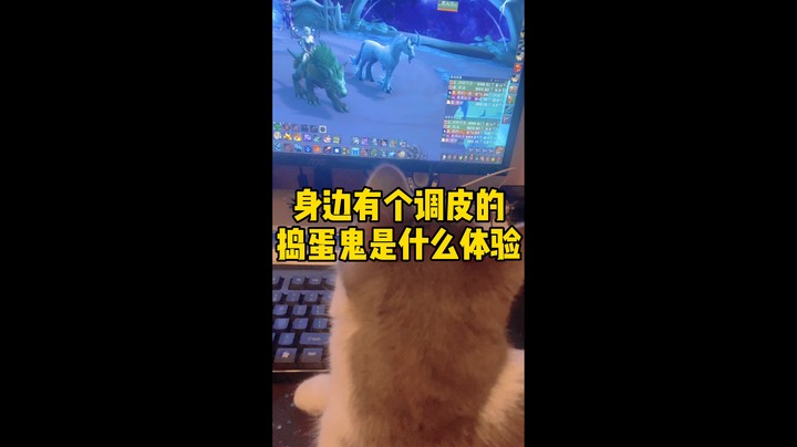 冰铃-这就是我DPS打不高的原因