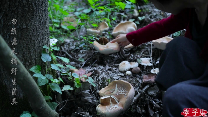 【美食】李子柒liziqi的精彩时刻 20210210 19点场