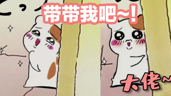 有了这个表情包 不愁没有大佬带我上分啦~
