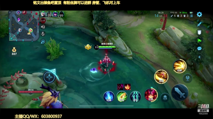 【2021-02-10 19点场】梦魇Ali：国服公孙离 专注国标